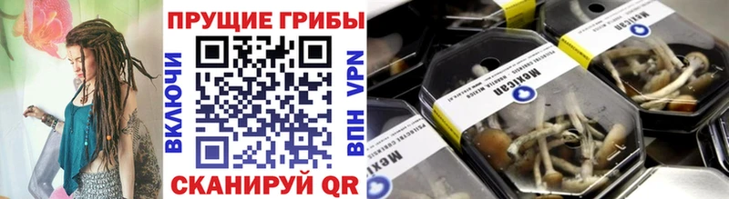 Купить закладки  Сафоново  Псилоцибиновые грибы ЛСД 